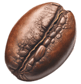Koffieboon